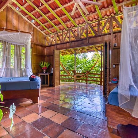 Selva Bananito Lodge Westfalia Exterior photo