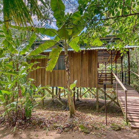 Selva Bananito Lodge Westfalia Exterior photo