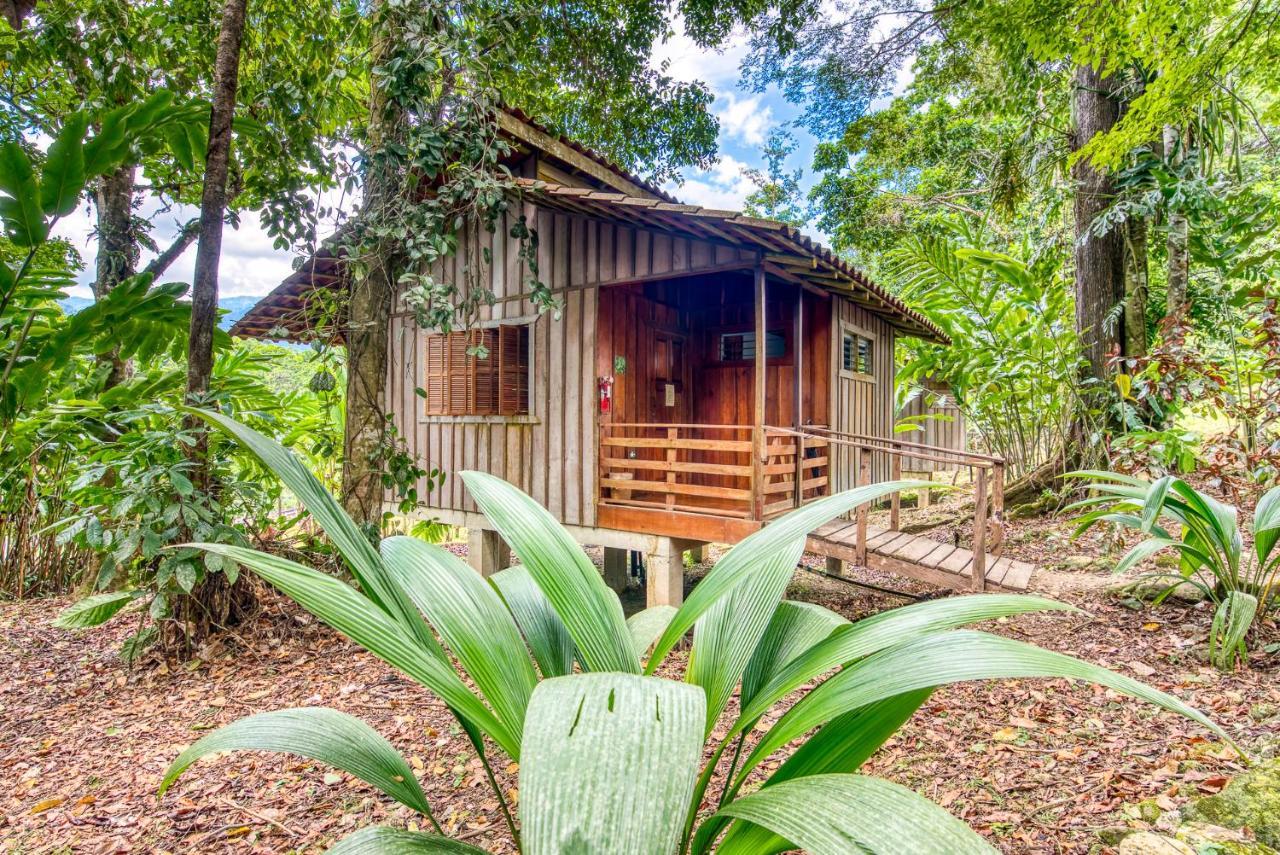 Selva Bananito Lodge Westfalia Exterior photo
