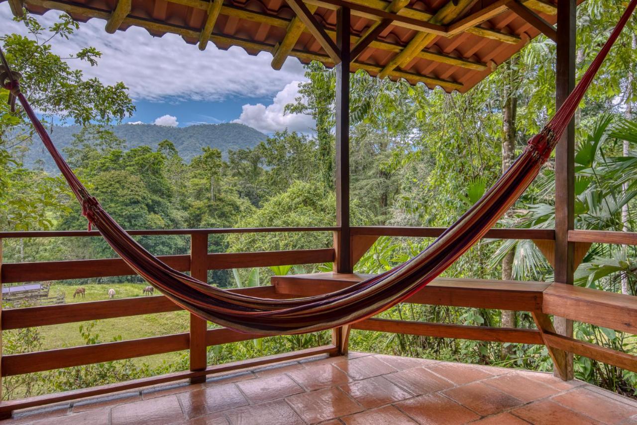 Selva Bananito Lodge Westfalia Exterior photo