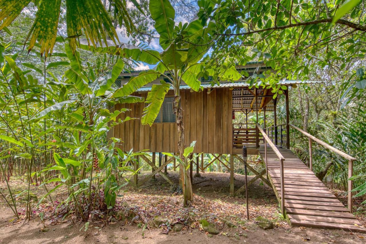 Selva Bananito Lodge Westfalia Exterior photo