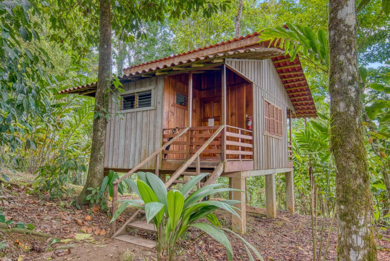 Selva Bananito Lodge Westfalia Exterior photo