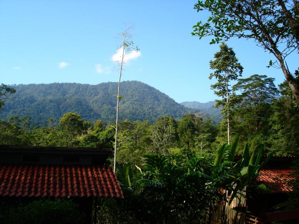 Selva Bananito Lodge Westfalia Exterior photo