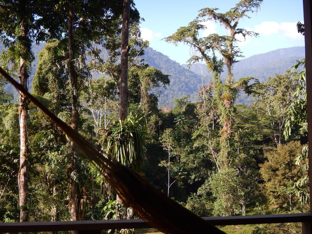 Selva Bananito Lodge Westfalia Room photo